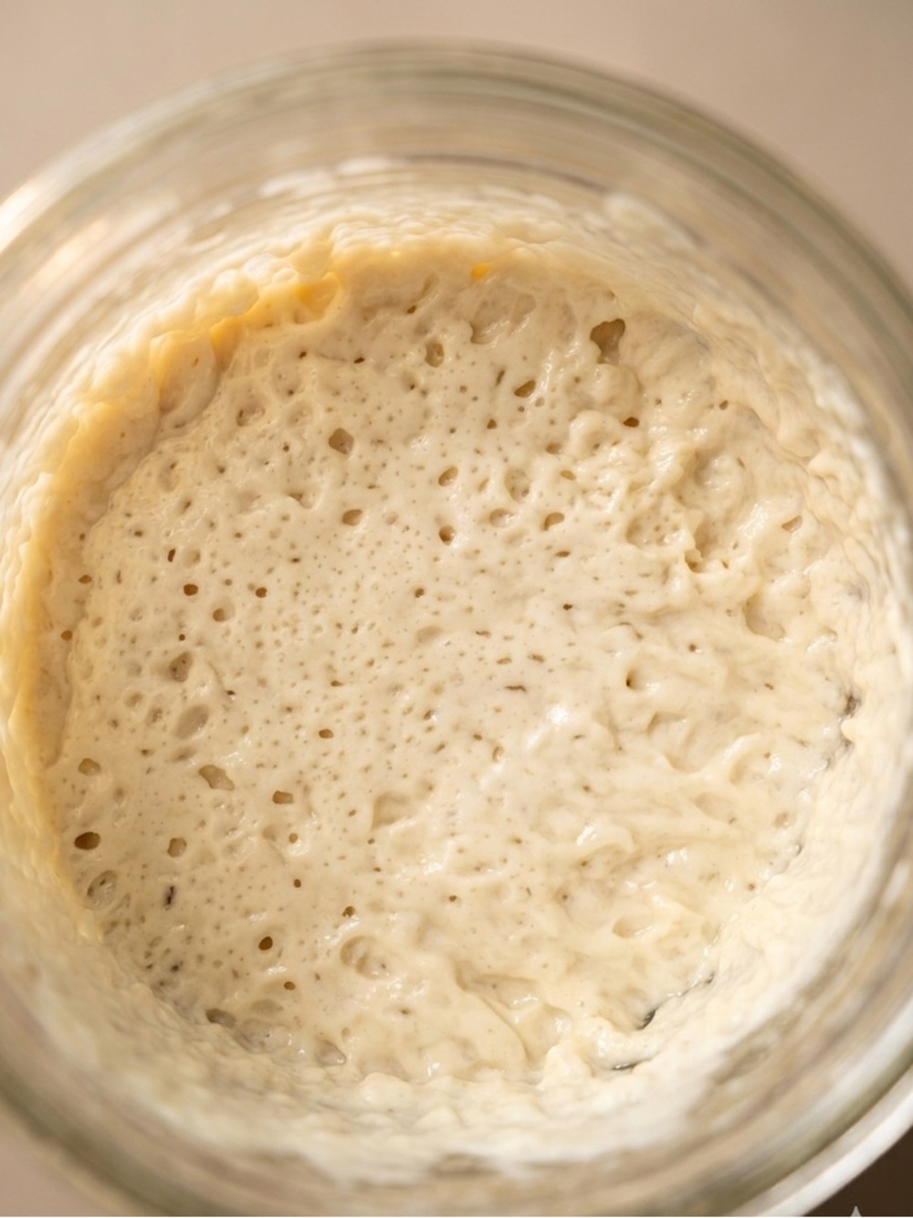 Sourdough Starter (4 Months Old) – $10 Each or 2 for $15 🥖 - Picture 3 of 14